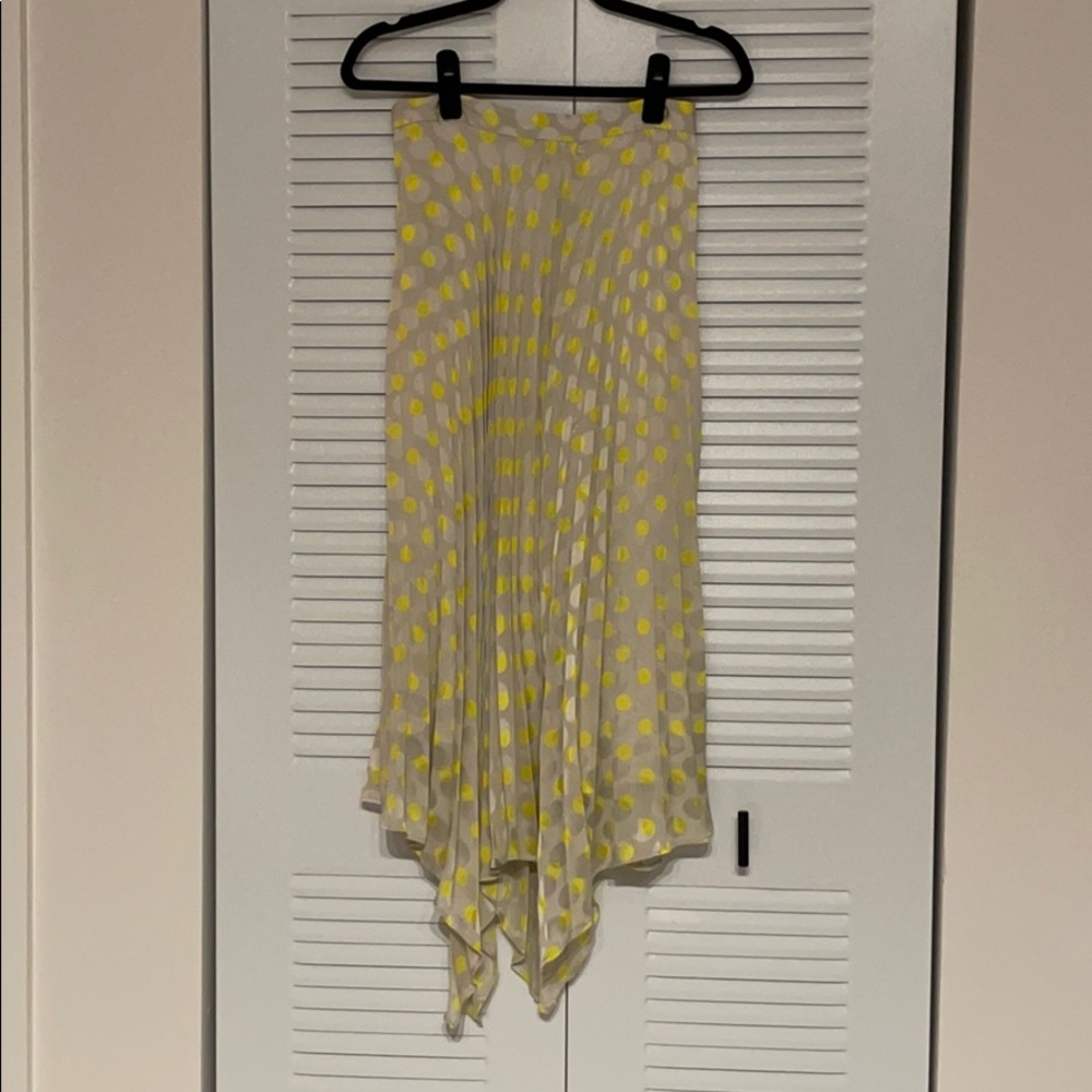 Zara Pleated Skirt